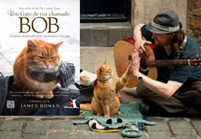Um Gato De Rua Chamado Bob