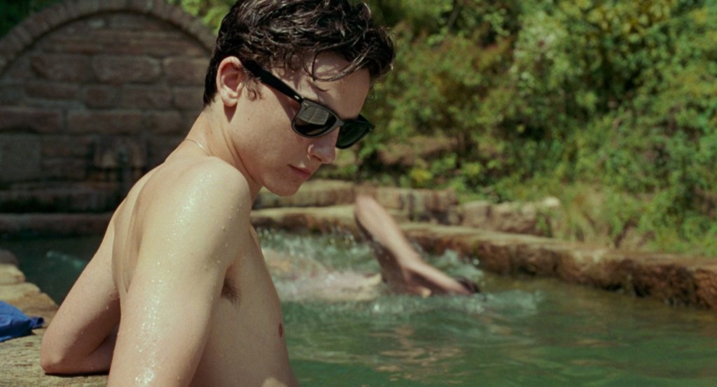 Me Chame pelo Seu Nome Call Me by Your Name Luca Guadagnino James Ivory Timothée Chalamet Armie Hammer Michael Stuhlbarg Amira Casar Esther Garrel