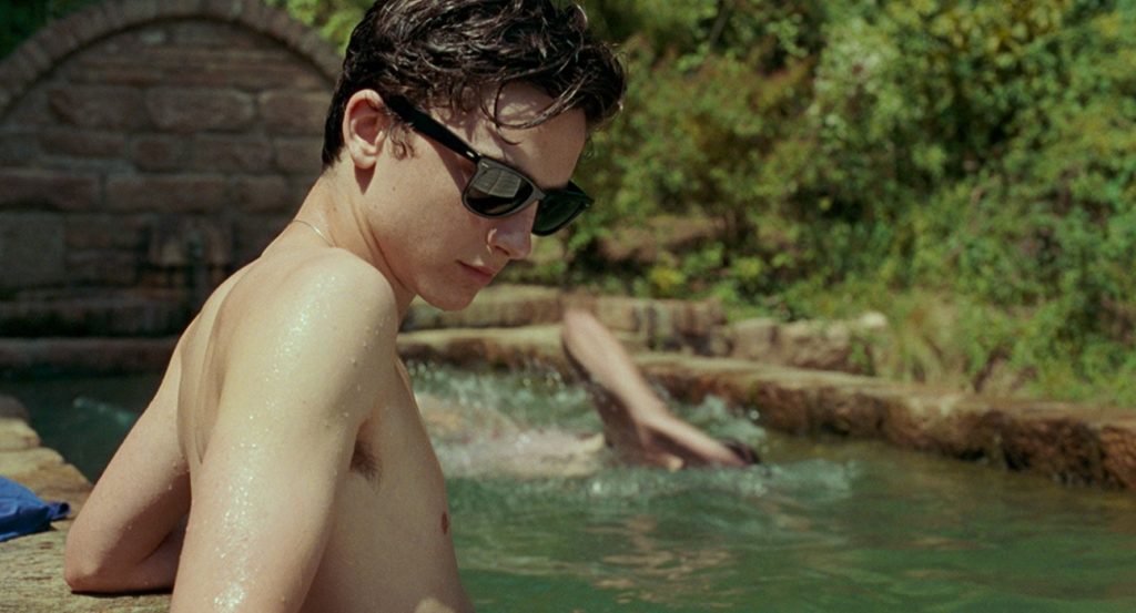 Me Chame pelo Seu Nome Call Me by Your Name Luca Guadagnino James Ivory Timothée Chalamet Armie Hammer Michael Stuhlbarg Amira Casar Esther Garrel