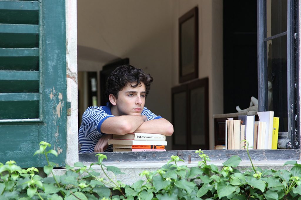 Me Chame pelo Seu Nome Call Me by Your Name Luca Guadagnino James Ivory Timothée Chalamet Armie Hammer Michael Stuhlbarg Amira Casar Esther Garrel