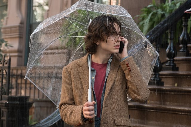 Timothée Chalamet in A Rainy Day in New York